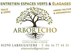 LOGO ARBOR' ECHO