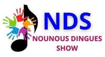 NOUNOUS DINGUES LOGO